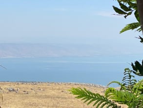 שירת%20הים%20בנוף%20כנרת%20,%20ראש%20פינה%20-%20נוף%20כנרת